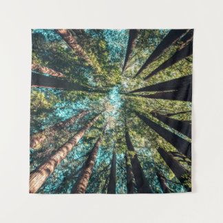 昼間の低角度撮影 タペストリー