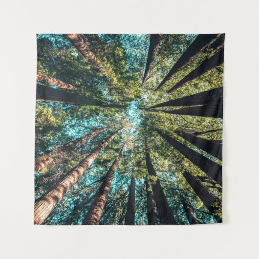 昼間の低角度撮影 タペストリー (正面)