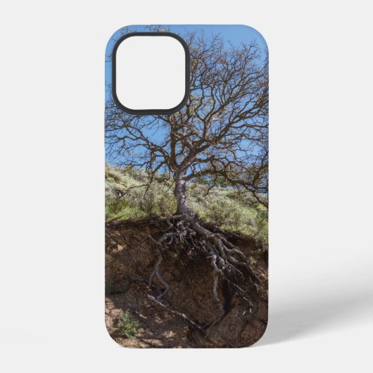 昼間の山の上の葉のない木 iPhoneケース (裏面)