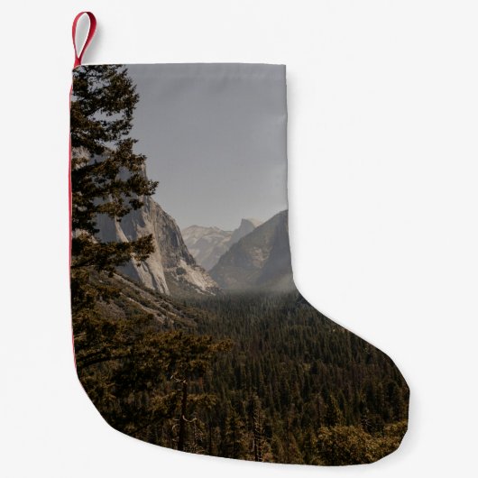 昼間の山の近くの緑の木 スモールクリスマスストッキング (正面)