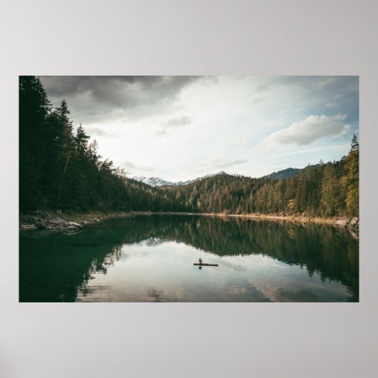 昼間の水体付近の木 ポスター (正面)