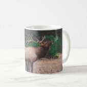 昼間の緑の木の近くの茶色のムース コーヒーマグカップ (正面右)