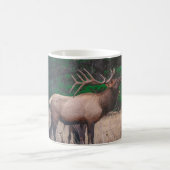 昼間の緑の木の近くの茶色のムース コーヒーマグカップ (中央)