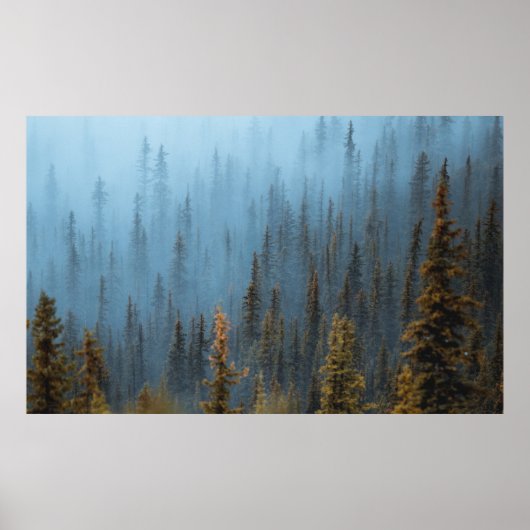 昼間の緑の木 ポスター (正面)