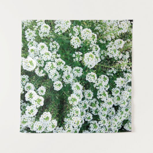 昼間の草の中の小さな白い花 タペストリー (正面)