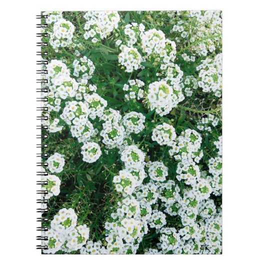 昼間の草の中の小さな白い花 ノートブック (正面)