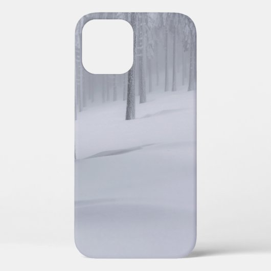 昼間雪で覆われた木 Case-Mate iPhoneケース (裏面)