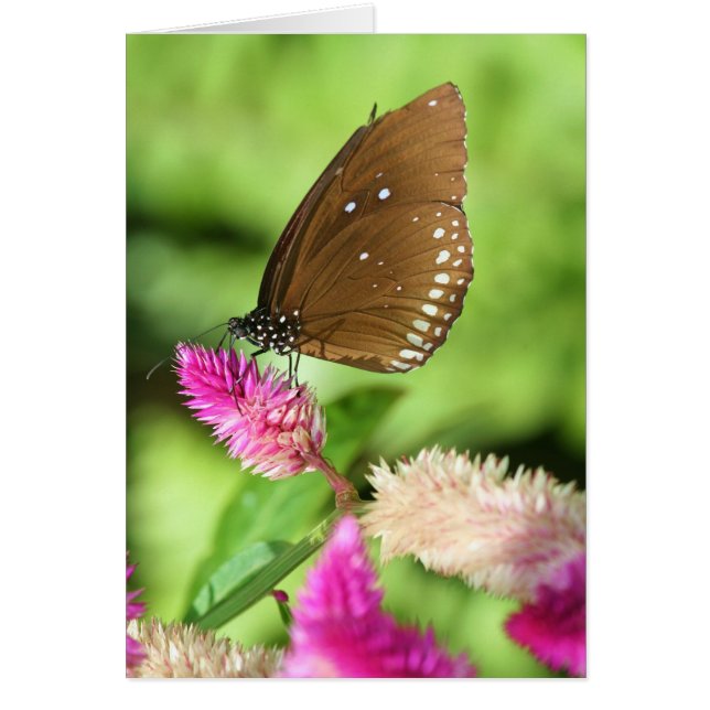 昼食の時間 (正面)