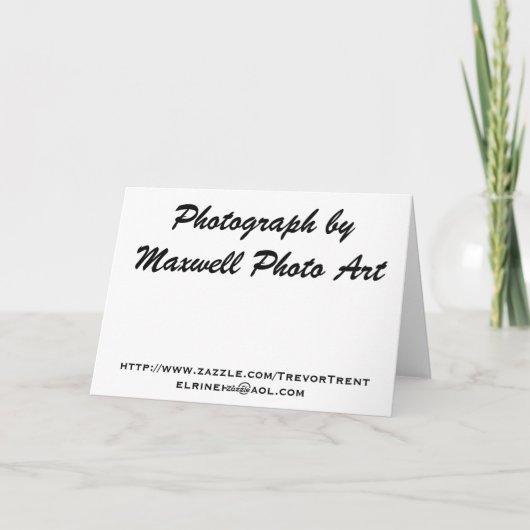 昼食をしよう! カード (裏面)