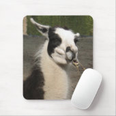 昼食を共にするラマ マウスパッド (マウス)