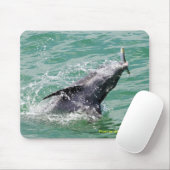 昼食を持つイルカ マウスパッド (マウス)