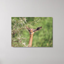 昼食時間 キャンバスプリント