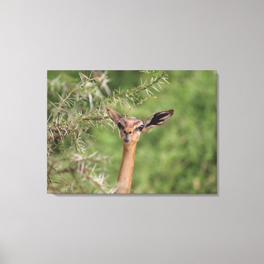 昼食時間 キャンバスプリント (正面)