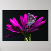 昼食時間 ポスター (正面)