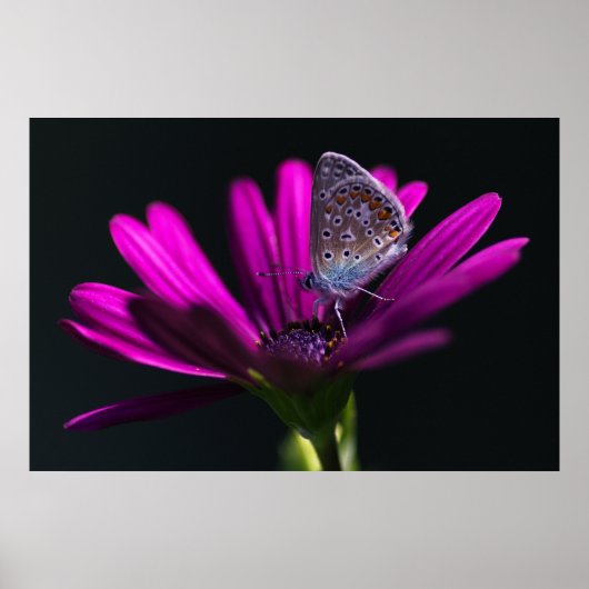 昼食時間 ポスター (正面)