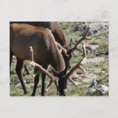 昼食時間 ポストカード (正面)