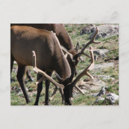 昼食時間 ポストカード