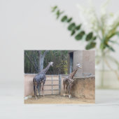 昼食時間 ポストカード (スタンド正面)