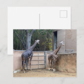 昼食時間 ポストカード (正面/裏面)