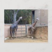 昼食時間 ポストカード (正面)