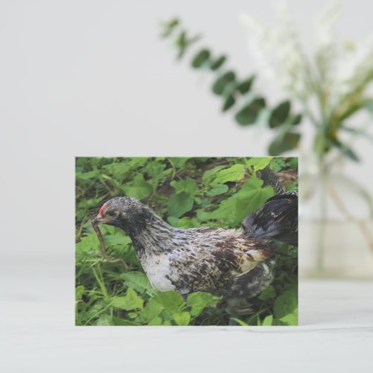 昼食 ポストカード (スタンド正面)