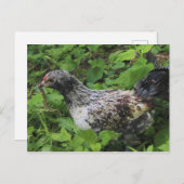 昼食 ポストカード (正面/裏面)