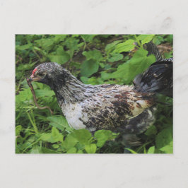 昼食 ポストカード