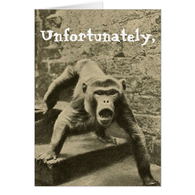 時々あなたのサーカスは、彼らはあなたのサルである (正面)