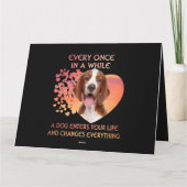 時々ウェルシュスリンガーのスパニエル犬 カード (裏面)