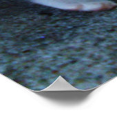 時々世界があなたのポスターに衝突する ポスター (角)