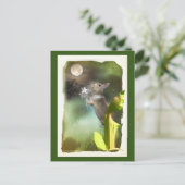 時々夜遅くにジョーイの歌/カードを聞く ポストカード (スタンド正面)