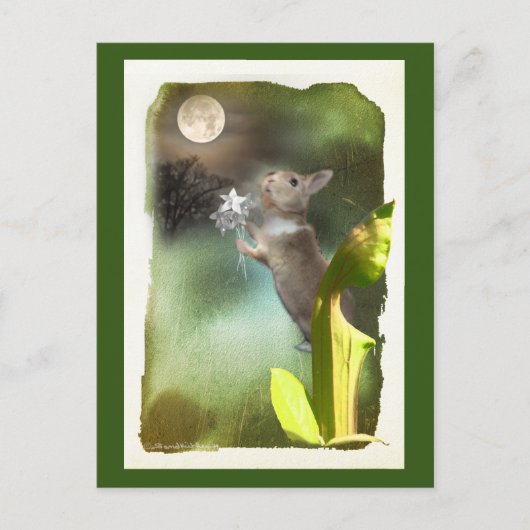 時々夜遅くにジョーイの歌/カードを聞く ポストカード (正面)