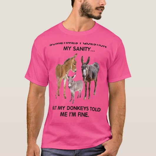 時々正気を疑うがロバは言った Tシャツ (正面)
