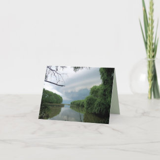 時々渡る嵐… カード