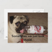 時々私たちはただ愚かに見える。はがき ポストカード (正面/裏面)