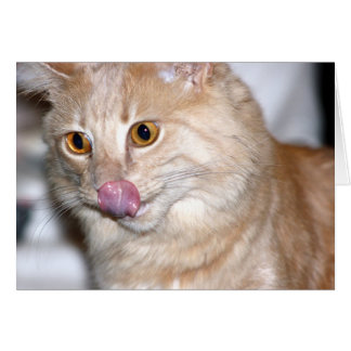 時々私は普通になろうとしている