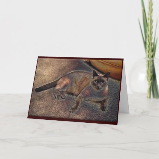 時々~の挨拶状及びメッセージカード カード (正面)