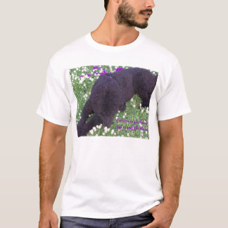 時々hav… tシャツ