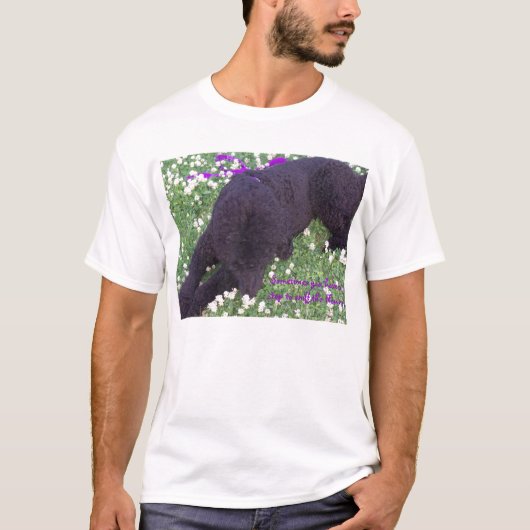 時々hav… tシャツ (正面)