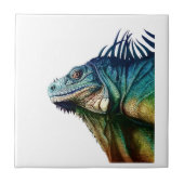 時につかまえられる タイル (正面)