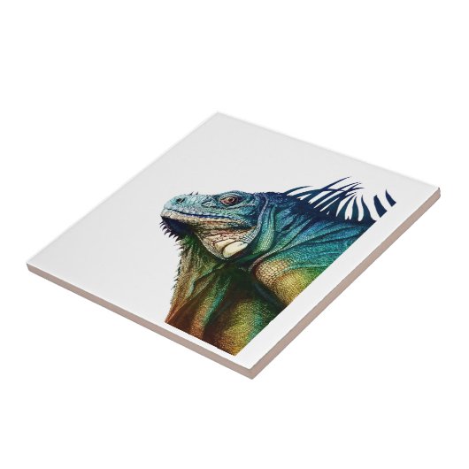 時につかまえられる タイル (側面)