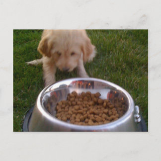 時には期待に応える懸命を持つ ポストカード