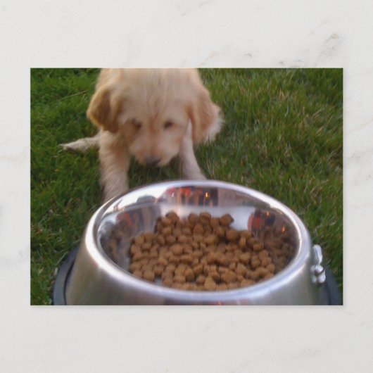 時には期待に応える懸命を持つ ポストカード (正面)