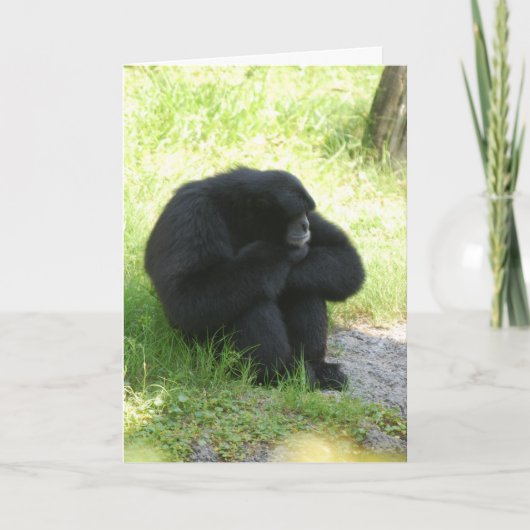 時には猿にも悪い日がある カード (正面)