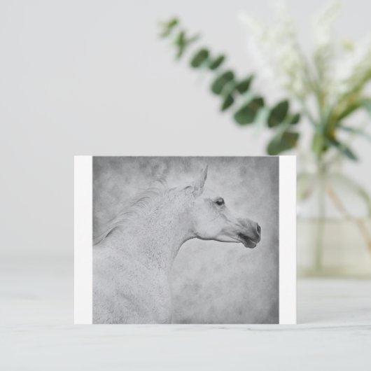 時代を超えた美しい ポストカード (スタンド正面)