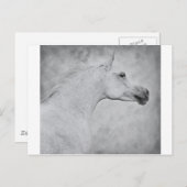 時代を超えた美しい ポストカード (正面/裏面)