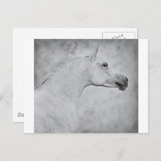 時代を超えた美しい ポストカード (正面/裏面)