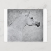 時代を超えた美しい ポストカード (正面)