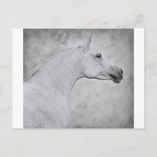 時代を超えた美しい ポストカード (正面)