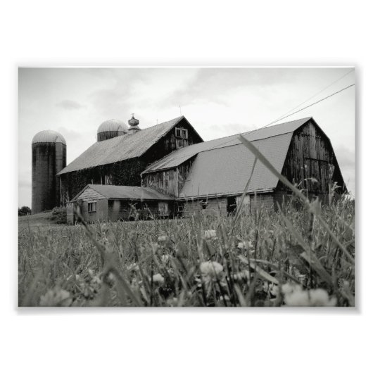 時代を超えた フォトプリント            (正面)